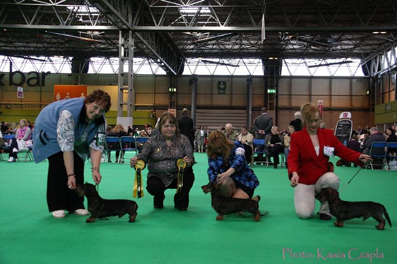 Crufts2011_2 959.jpg